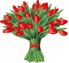 tulip-tulips-g1cb1abad0_640.png
